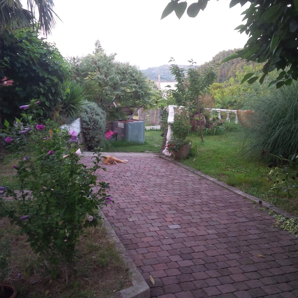Area that directly surrounds the property. Common garden