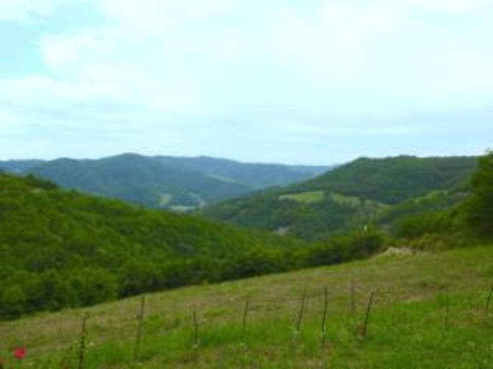 Region [summer] (>5 km)