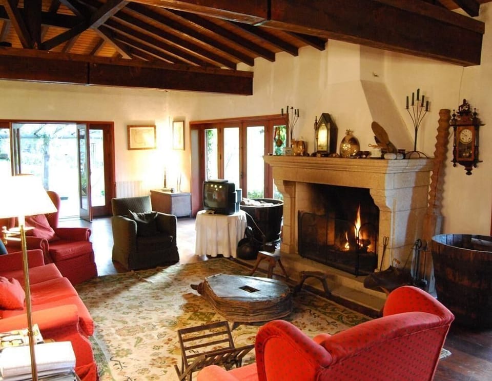 sitting room_fire place