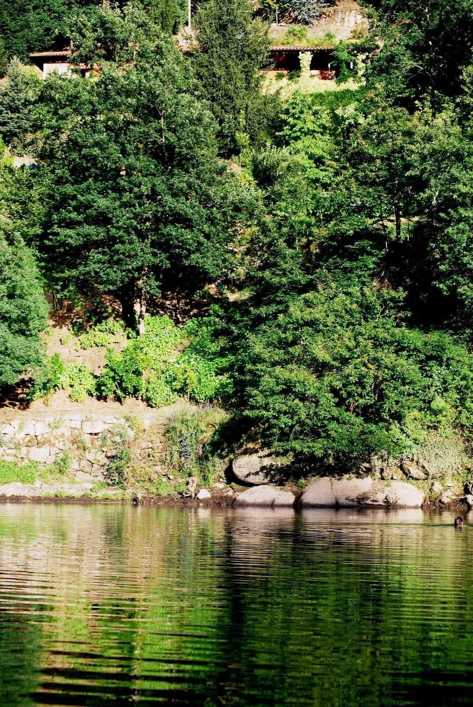the cottage from the river