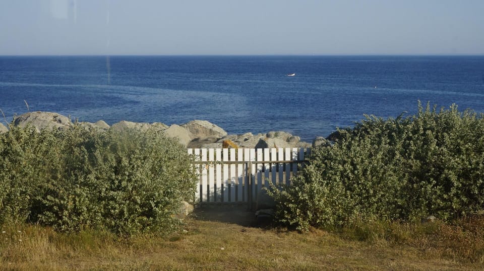 Area that directly surrounds the property - from the garden, direct access to the ocean