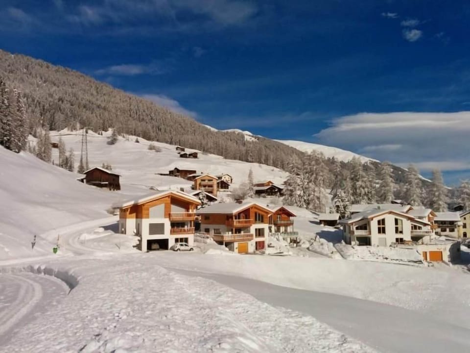 The Chalet-Davos is located in a small group of chalets on the outskirts of Davos-Glaris.