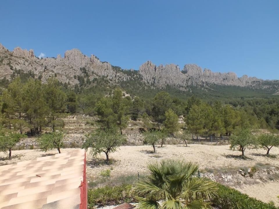 Area that directly surrounds the property