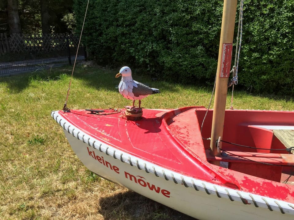 Water Transportation, Vehicle, Boat, Boats And Boating--Equipment And Supplies, Boating, Watercraft, Recreation, Plant Community, Skiff