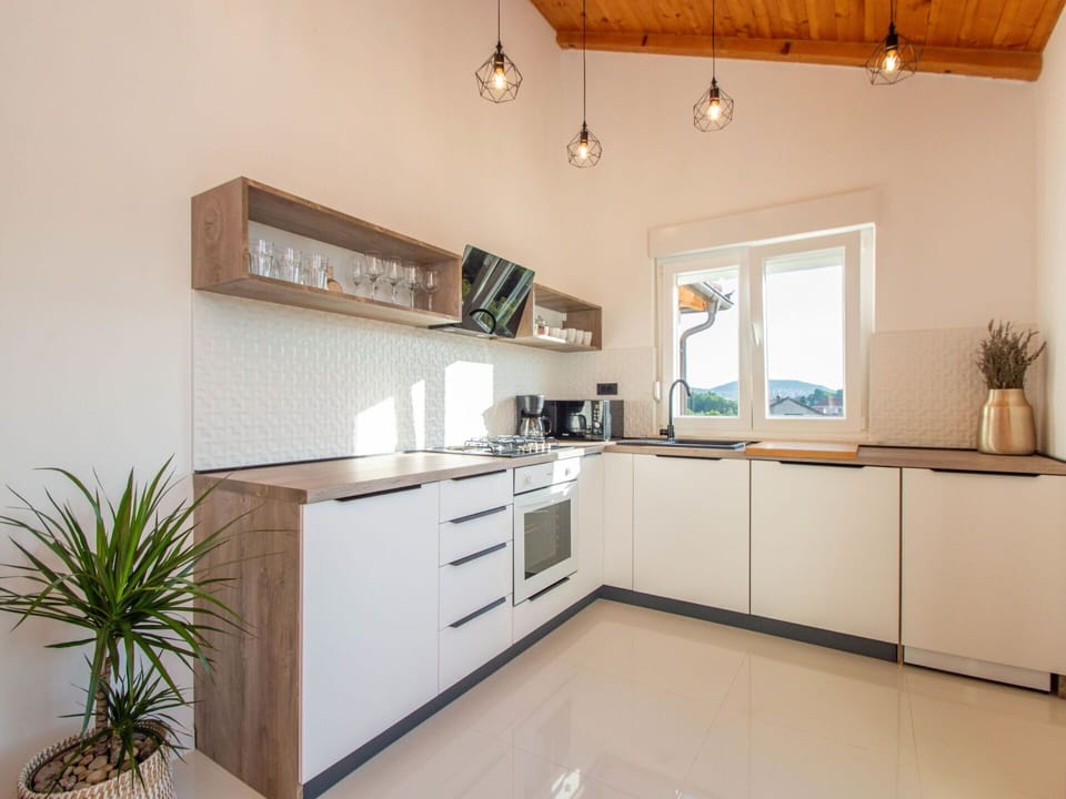 Cabinetry, Plant, Countertop, Houseplant, Wood, Kitchen, Home Appliance, Floor, Flooring, Drawer