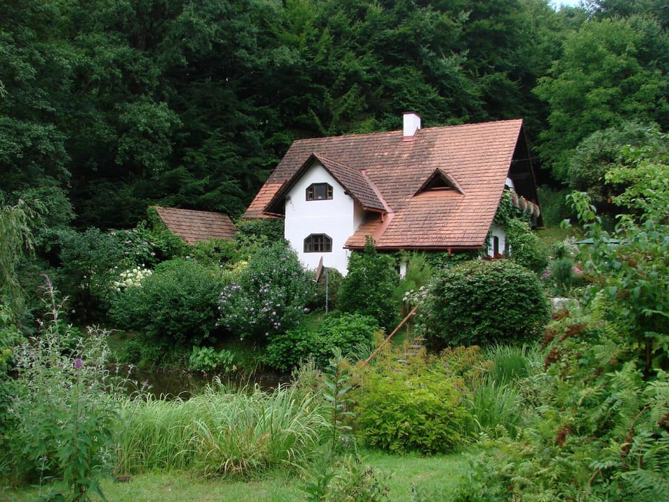 Area that directly surrounds the property