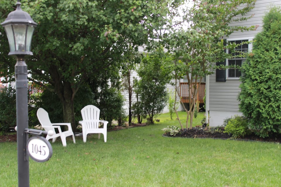 Relax and play in front yard