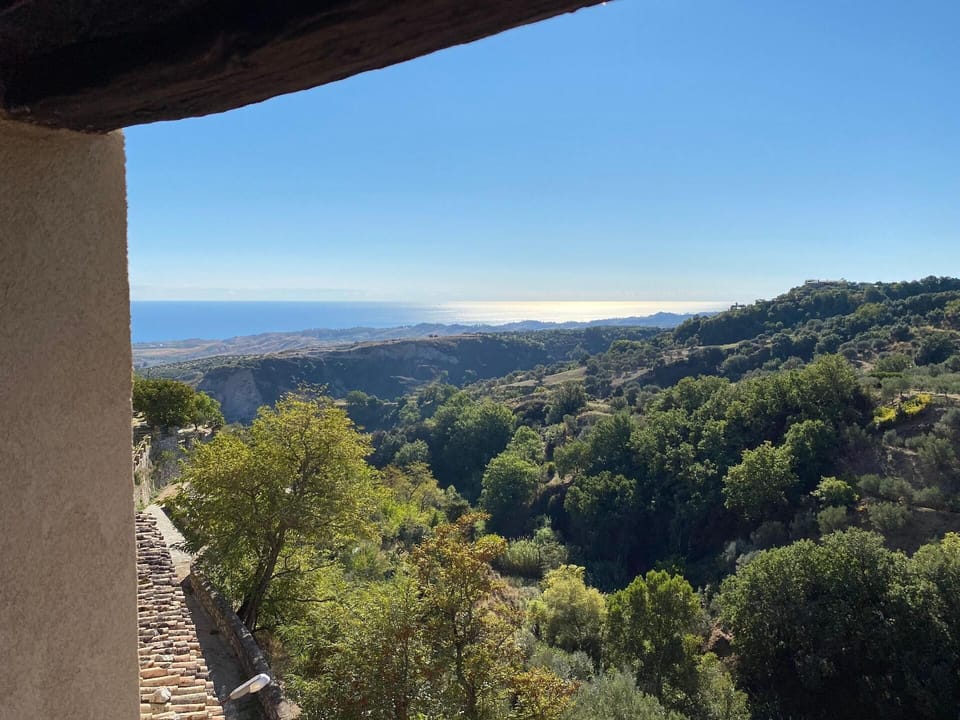 View from the window