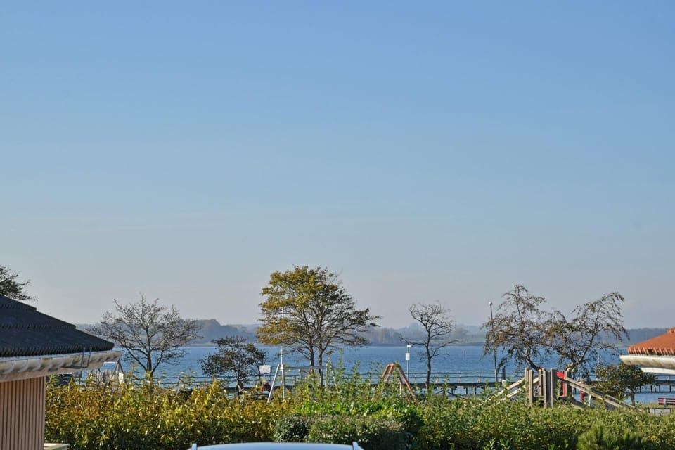 View from the window