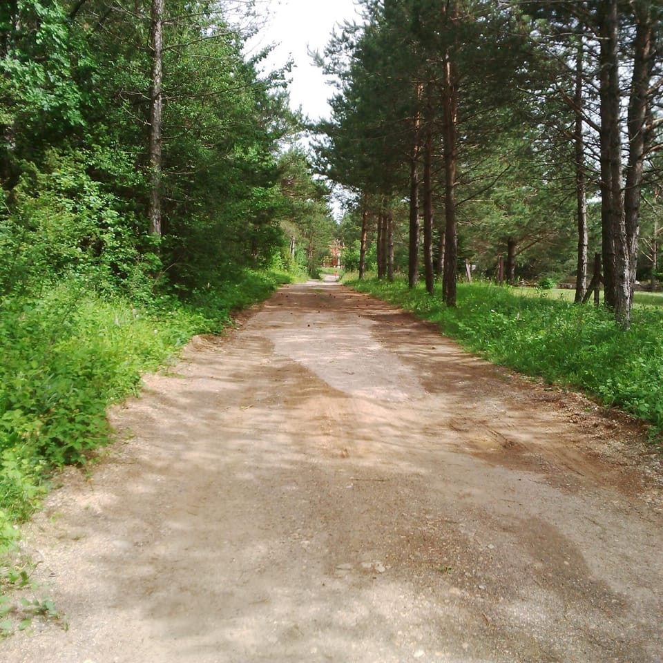 Area that directly surrounds the property. off road leading to property