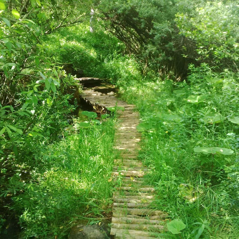 Town/city in general