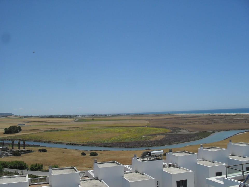 Area that directly surrounds the property