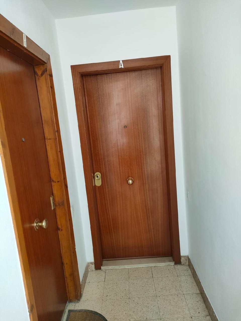 Entrance door/Hall