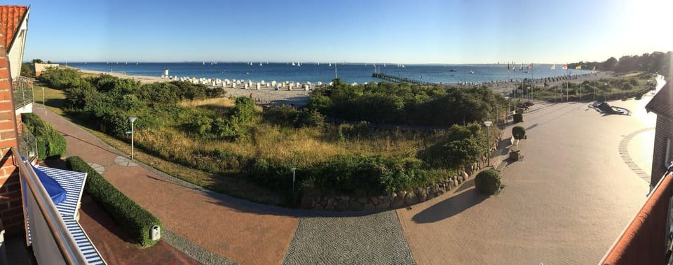 View from the window