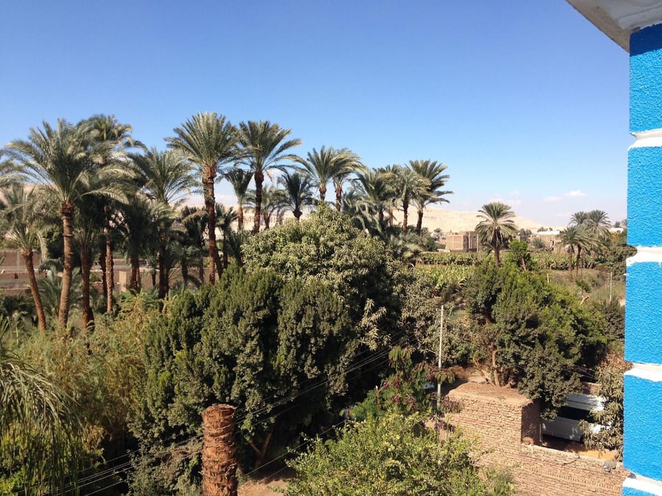 Area that directly surrounds the property