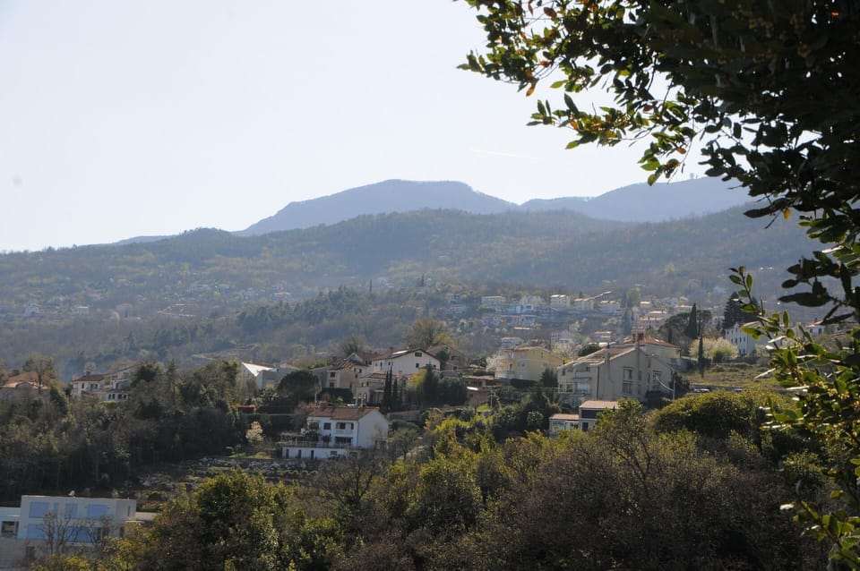 View from the window