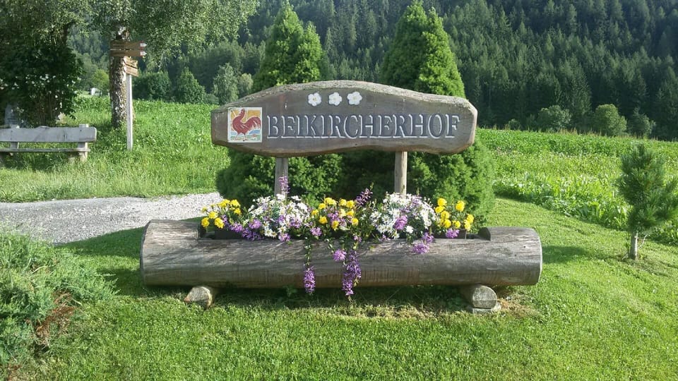 View from the window