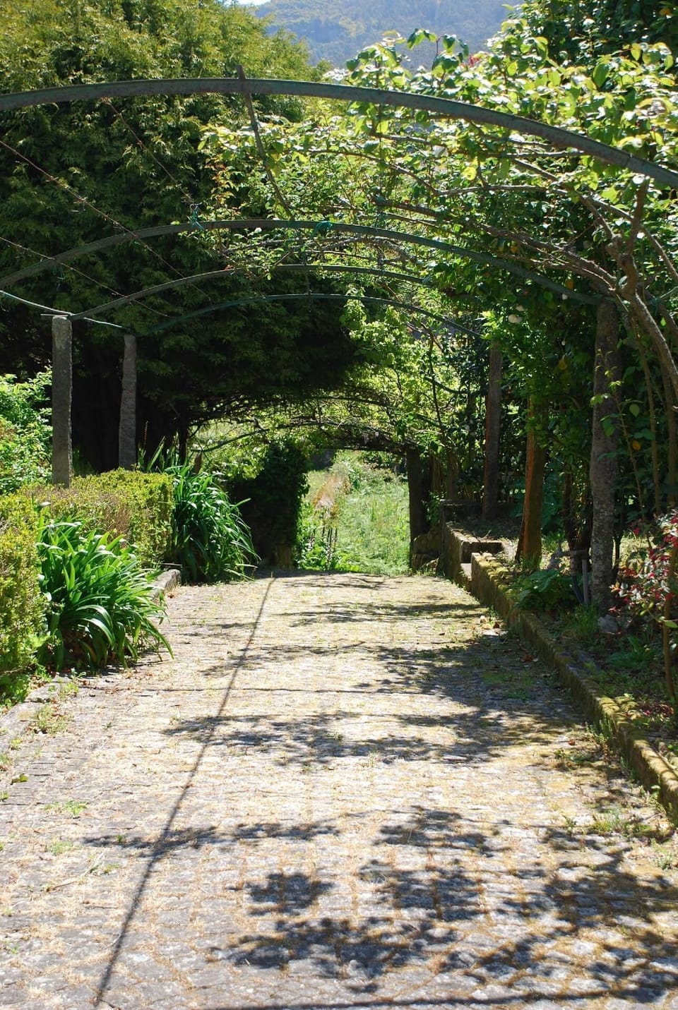 External view of the building