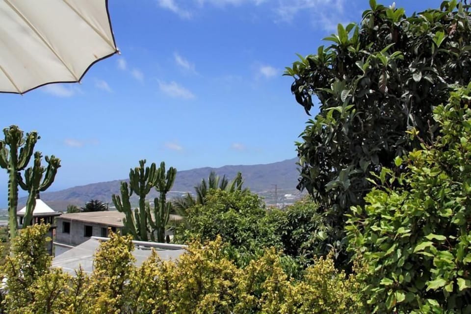 Area that directly surrounds the property