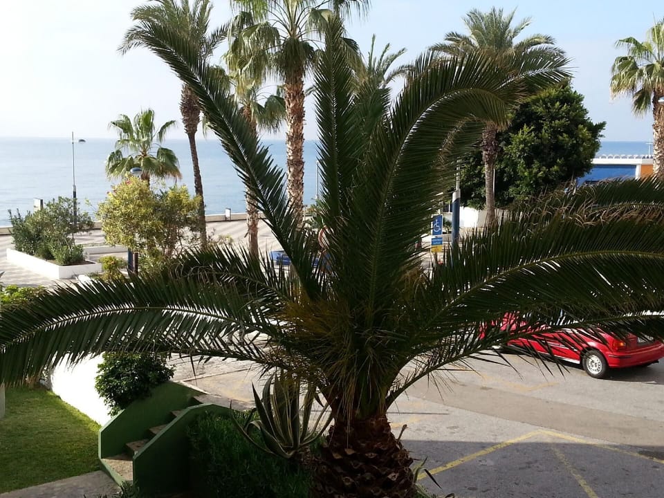 View from the window