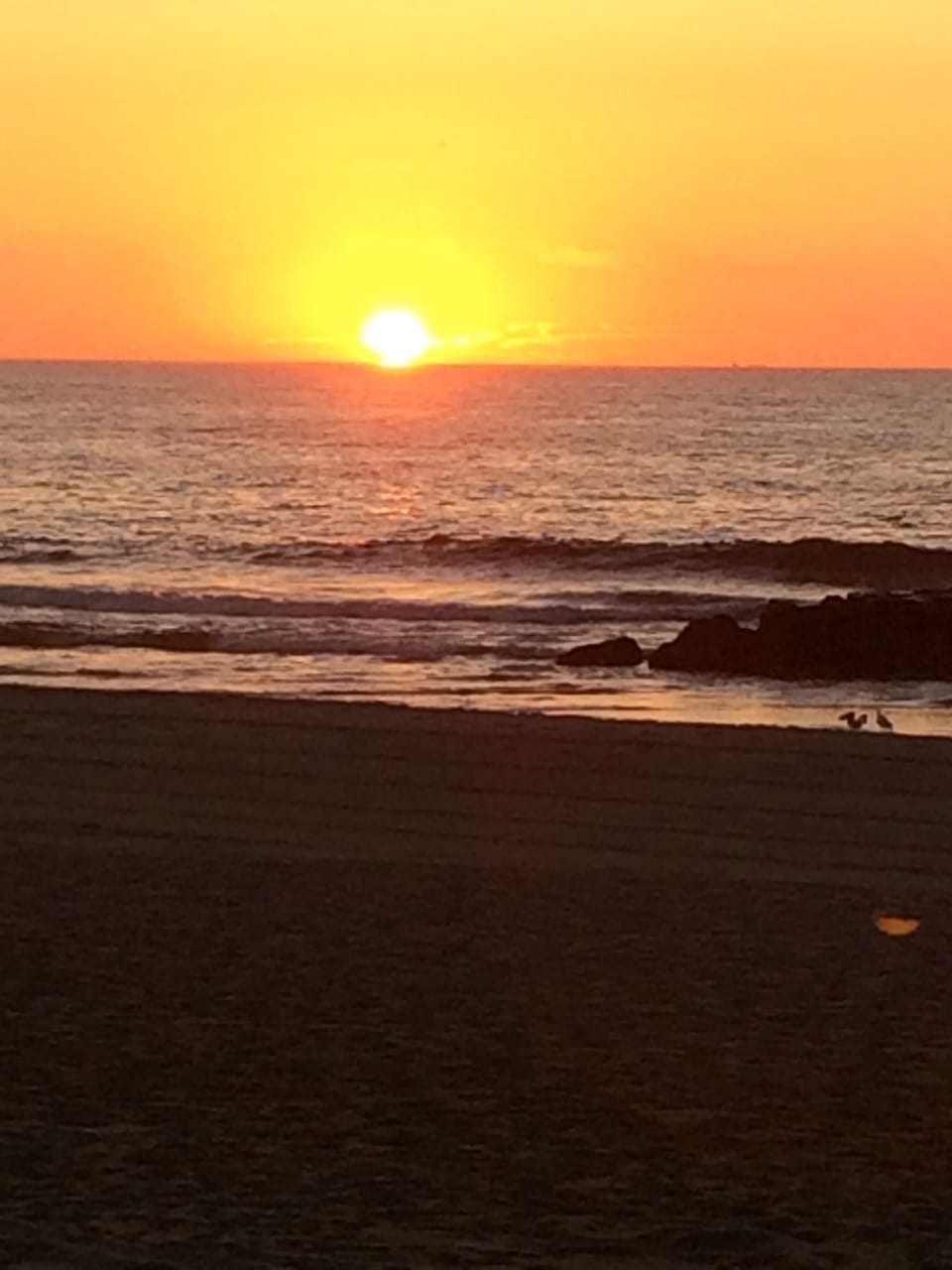 Sunrise