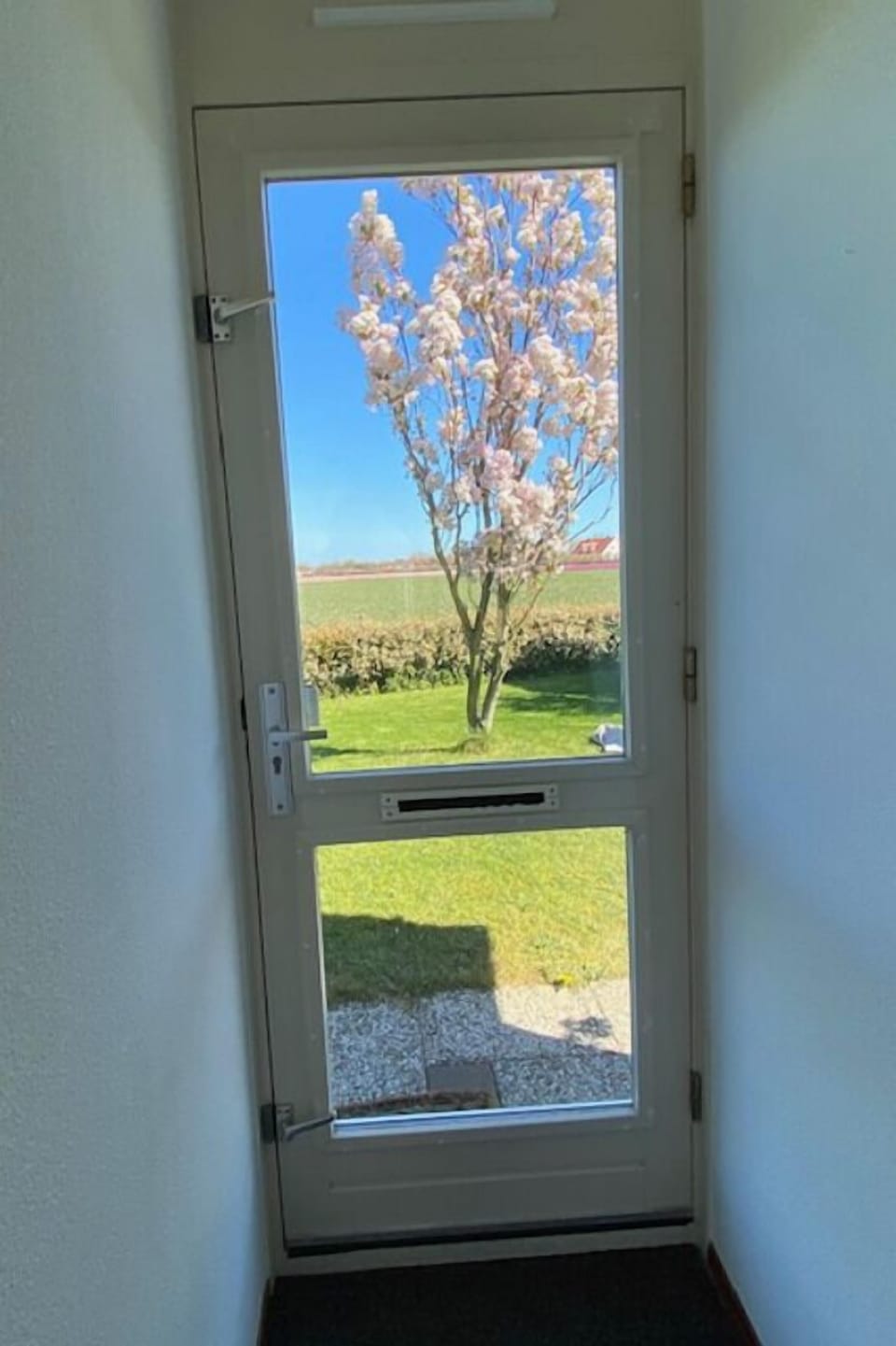 View from the window. Hallway and front door view