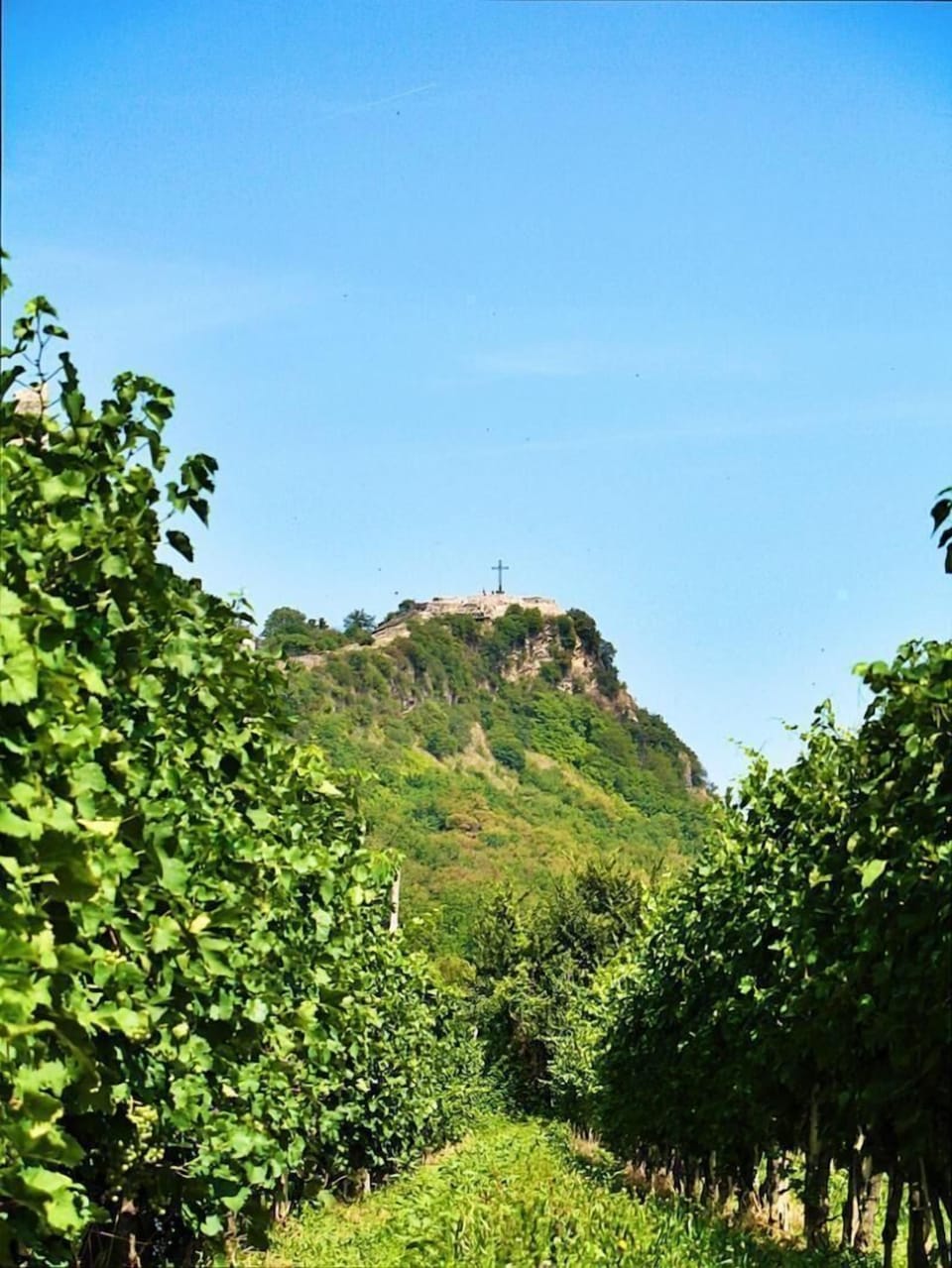 Manerba del Garda