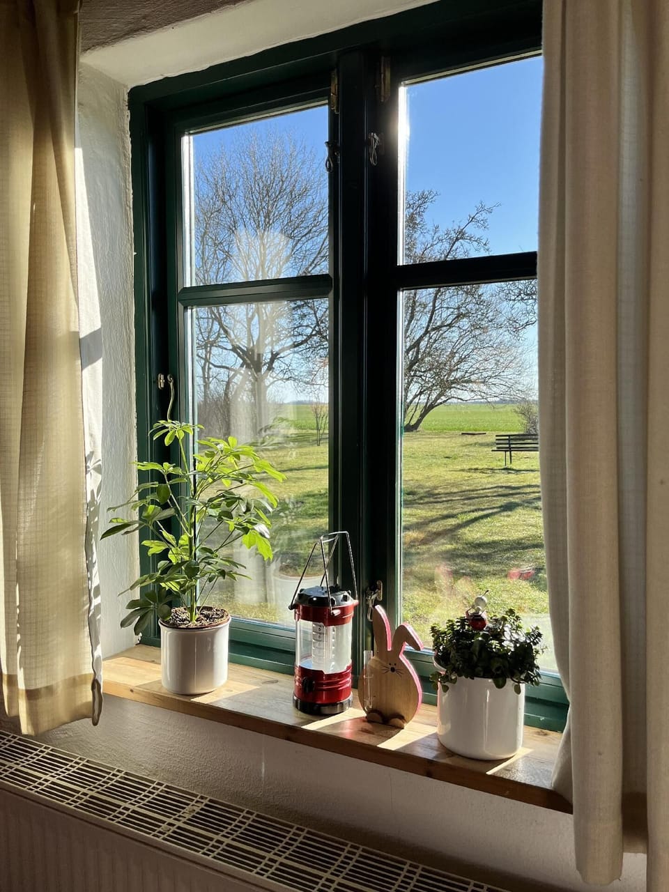 View from the window