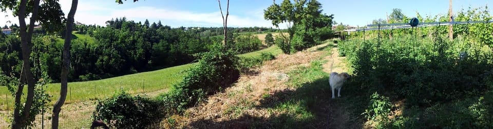 Area that directly surrounds the property