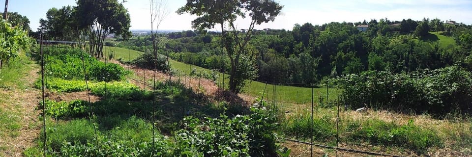 Area that directly surrounds the property