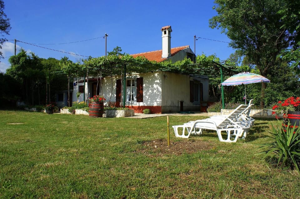 House and garden