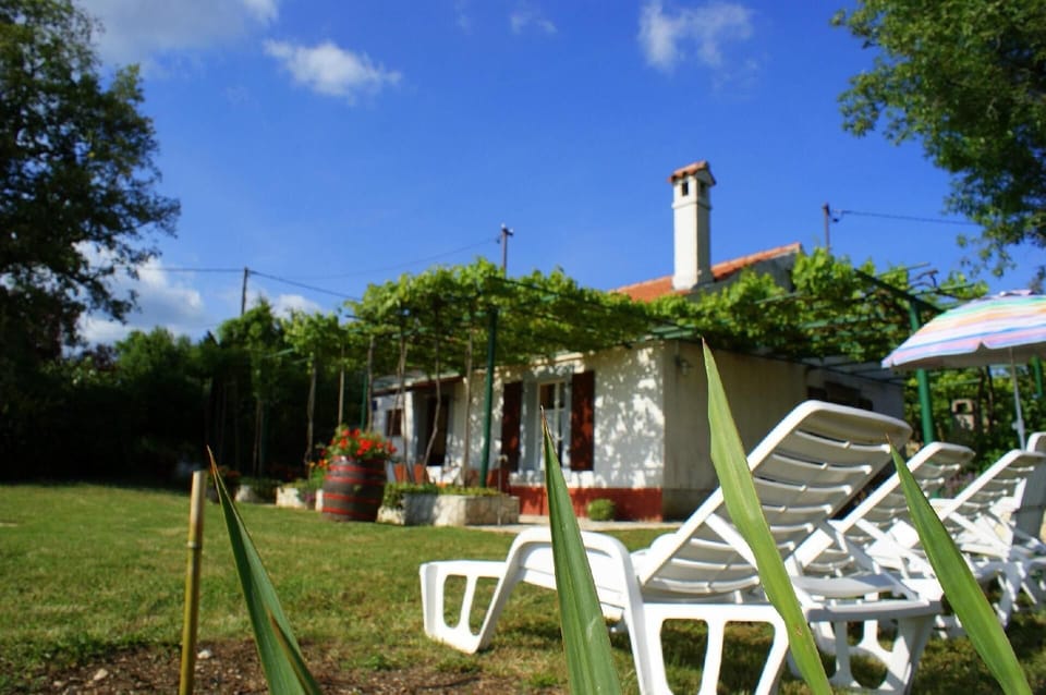 House and garden