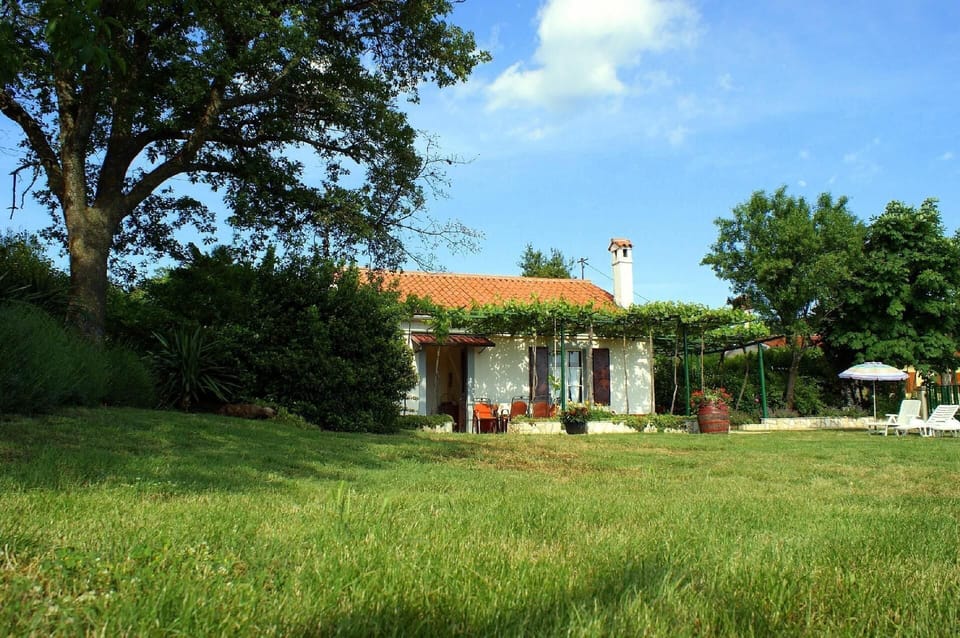 House and garden
