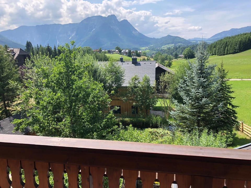 View from the window