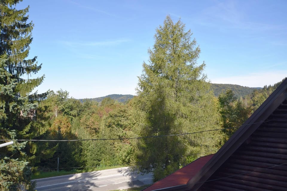 View from the window