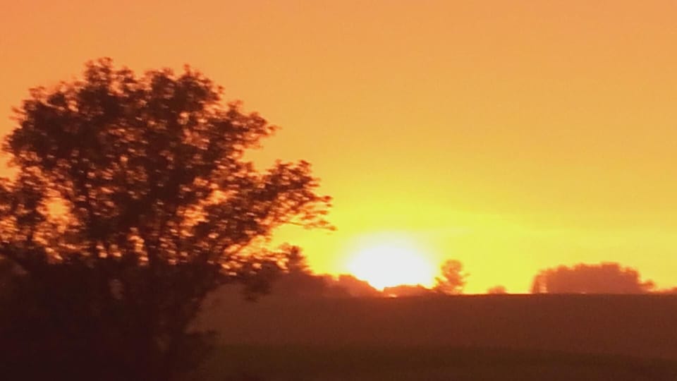 View from the window