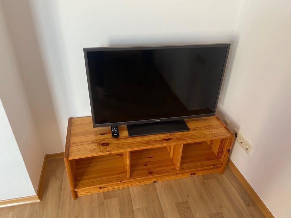 Television