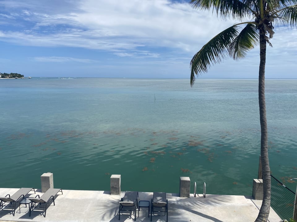 Best view in the Keys. This is from the back porch.