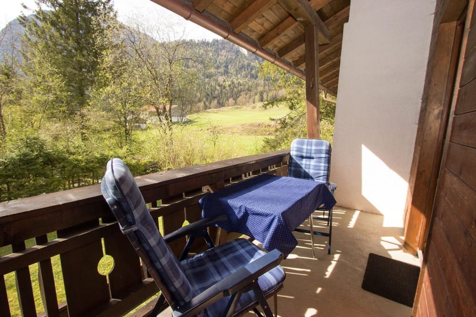 View from the window