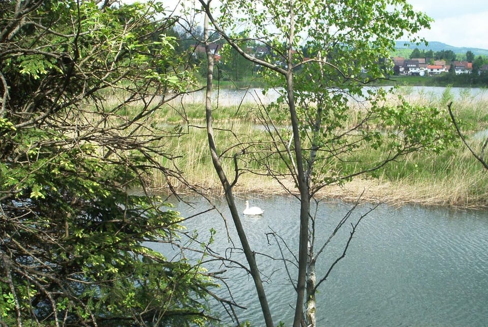 Area that directly surrounds the property