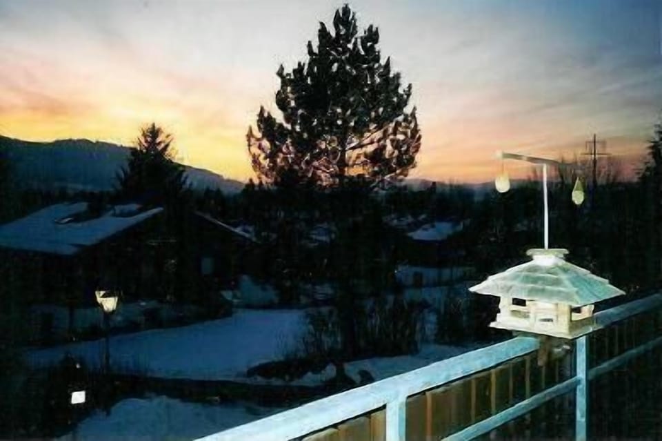 View from the window
