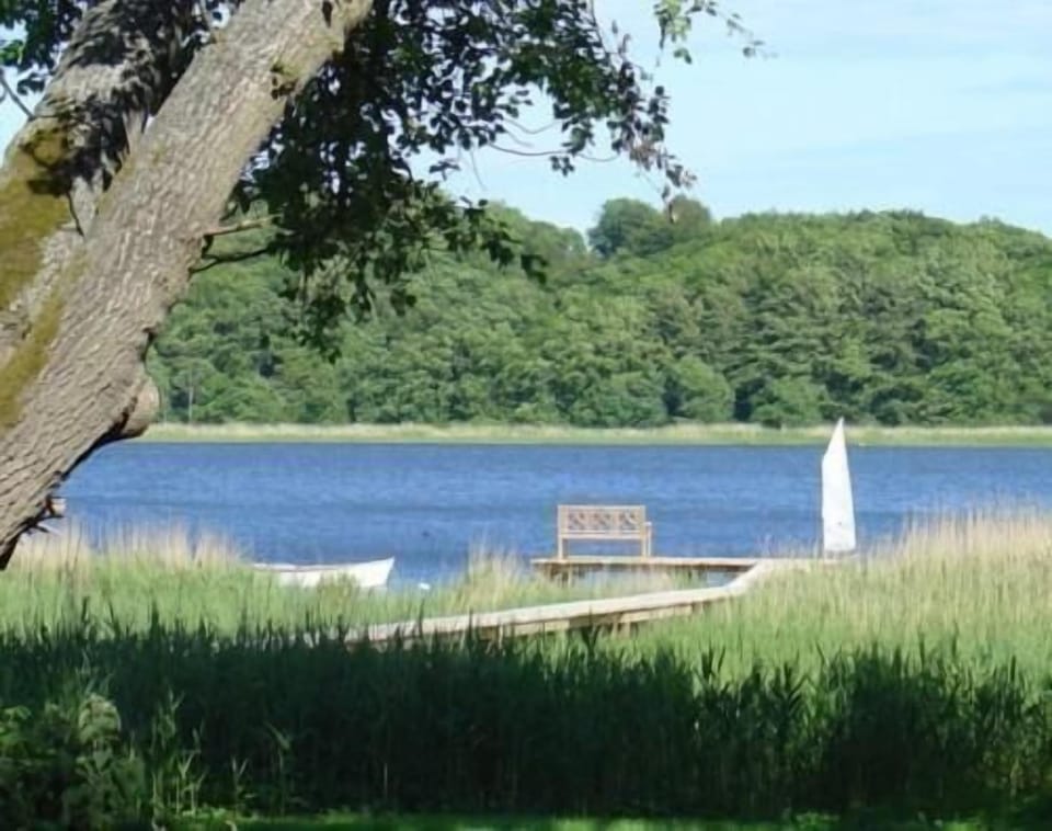 Area that directly surrounds the property