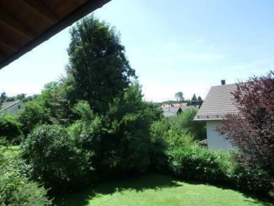 View from the window