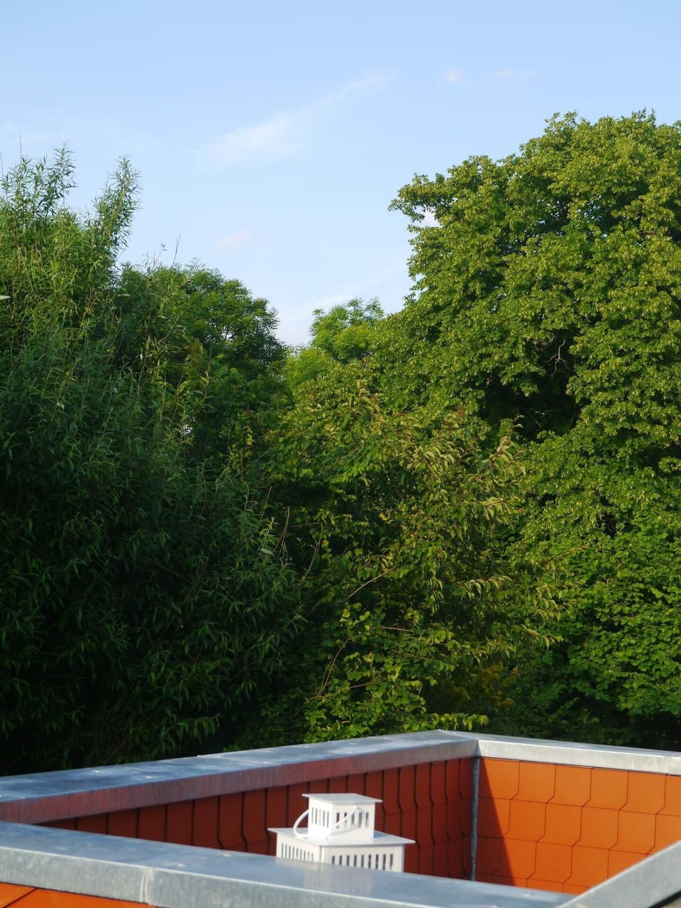 View from the window
