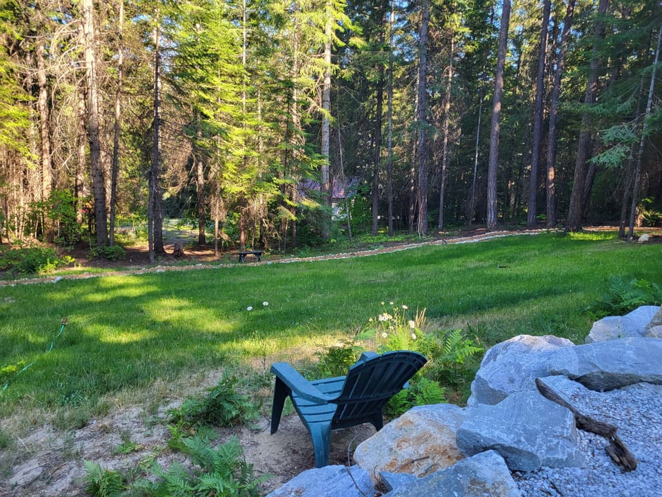 View of the back yard