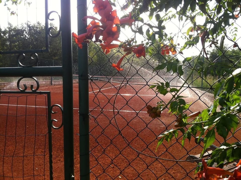 Sport court