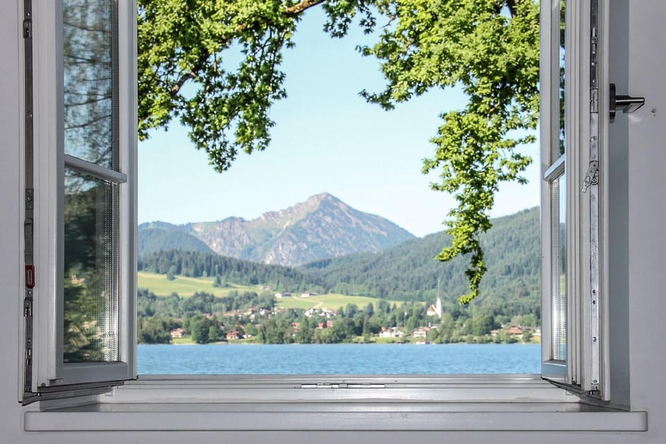 View from the window