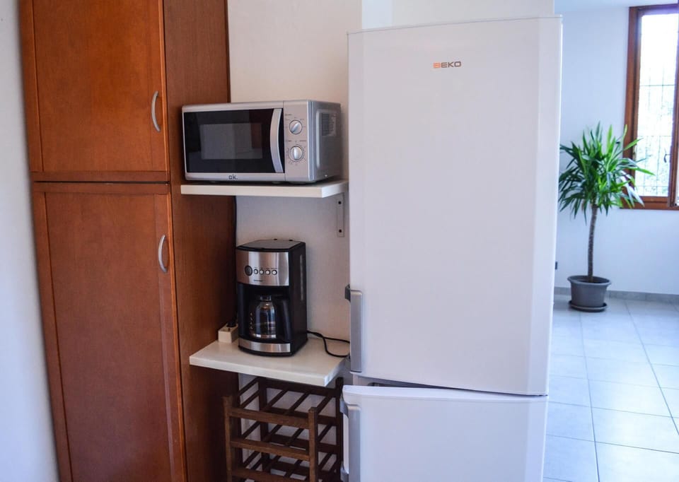 Kitchen area with microwave, big refrigerator and