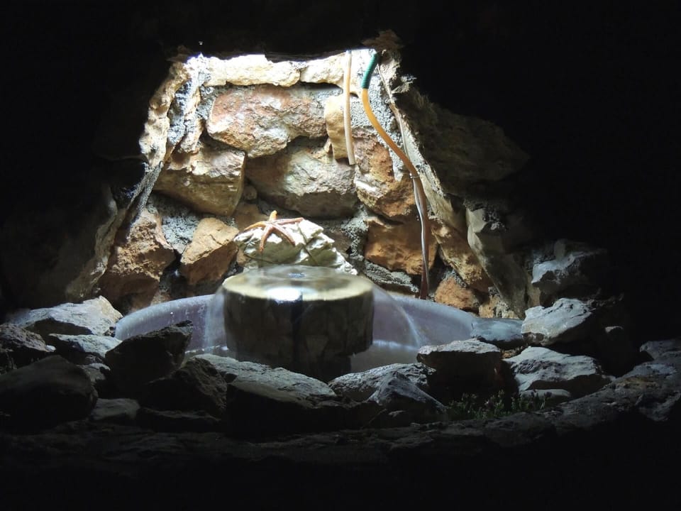Garden. fountain at night