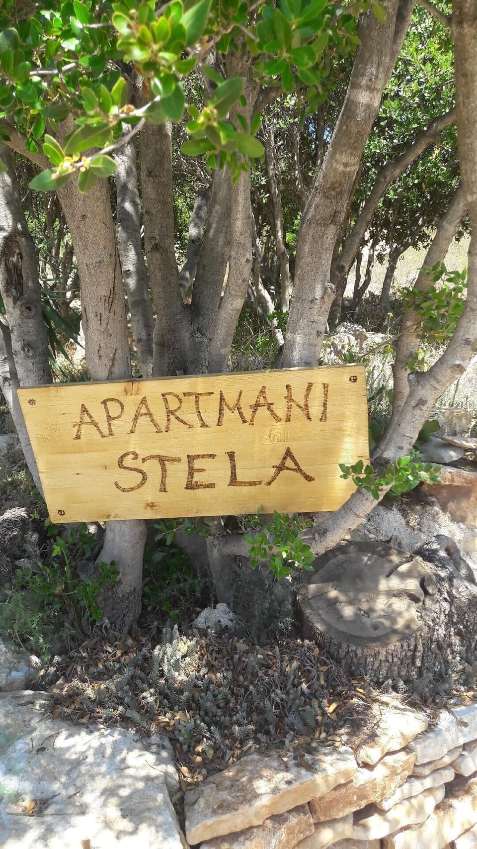 Sign on the parking